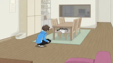 Nights With a Cat - S01E08 - Night 8 Can't Take Good Cat Vids