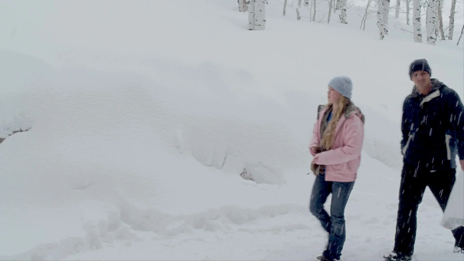 Snow Beast (2011)