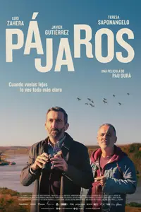 Pájaros / Birds Flying East (2024)