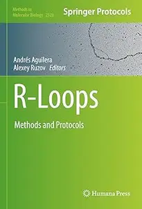 R-Loops: Methods and Protocols