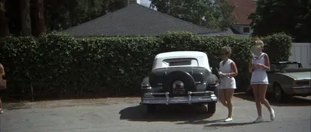 The Long Goodbye (1973)