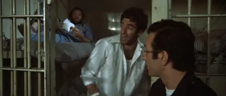The Long Goodbye (1973)