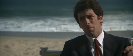 The Long Goodbye (1973)