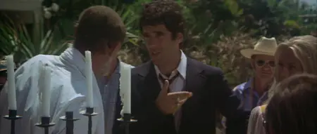 The Long Goodbye (1973)