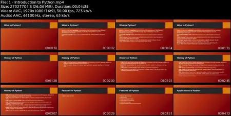 Python Programming Mastery: From Beginner to Pro