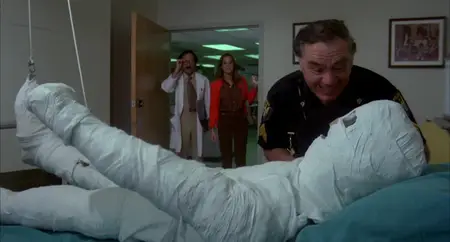 Super Fuzz (1980)