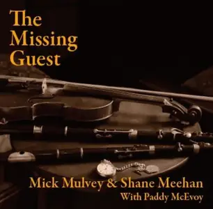 Mick Mulvey & Shane Meehan with Paddy McEvoy - The Missing Guest (2025)