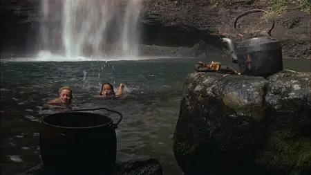 Return to the Blue Lagoon (1991)