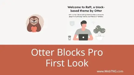 Otter Blocks Pro v3.1.11