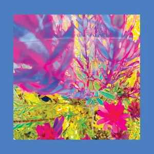 The Reds, Pinks and Purples - The Past Is a Garden I Never Fed (2025) [Official Digital Download]