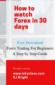 Forex: How to Watch Forex (Step by Step Guide): Forex Trading for Beginners - A Step by Step Guide