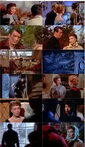 All That Heaven Allows (1955) [Criterion Collection]