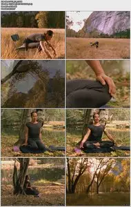 Rodney Yee - Meditation & Yoga