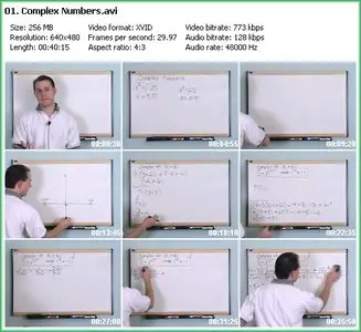 Math Tutor DVD - The Trigonometry and Pre-Calculus