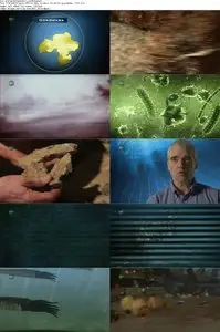 Animal Armageddon S01E01 Death Rays (2009)