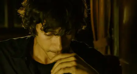 La herencia Valdemar II: La sombra prohibida (2010)