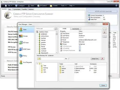 Cerberus FTP Server Enterprise 12.11.5 (x64)