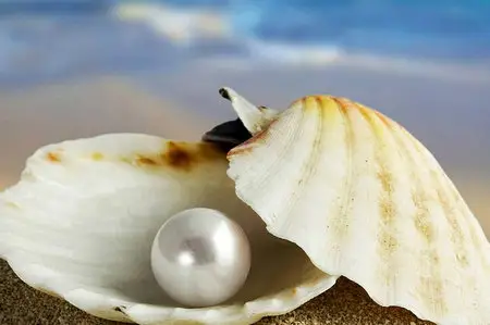 Macro Wallpapers (part 02)