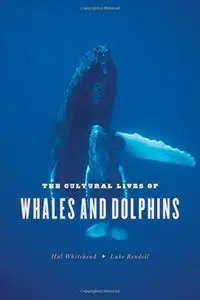 The Cultural Lives of Whales and Dolphins