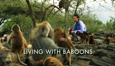 BBC Natural World - Living with Baboons (2012)