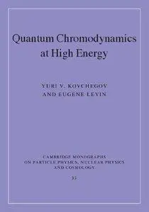 Quantum Chromodynamics at High Energy (repost)