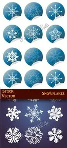 Stock Vector - Snowflakes