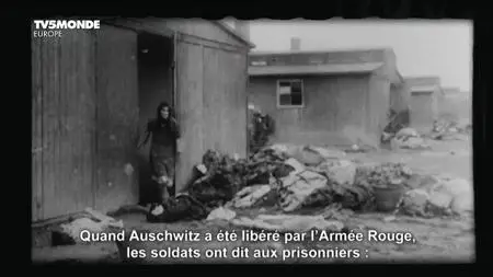 TV5Monde - Auschwitz Muzeum (2017)