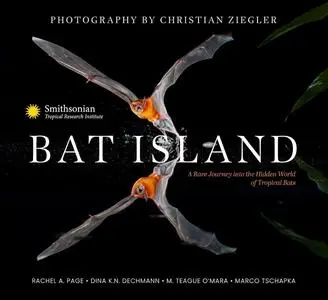 Bat Island: A Rare Journey into the Hidden World of Tropical Bats