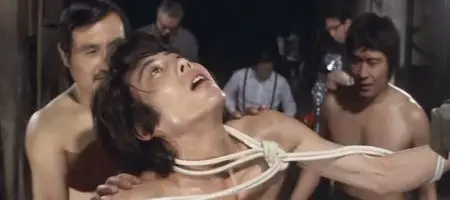Mesunekotachi no yoru (1972)