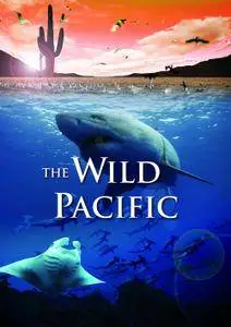 The Wild Pacific (2015) in 4K