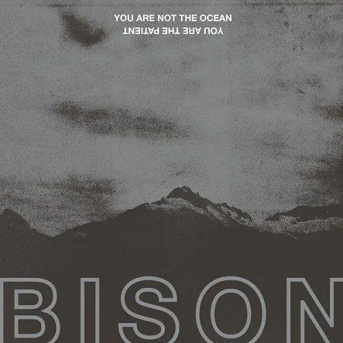 Bison - You Are Not The Ocean You Are The Patient (2017)