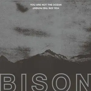Bison - You Are Not The Ocean You Are The Patient (2017)