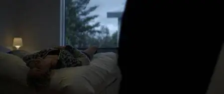 Bokeh (2017)