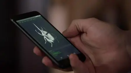 Blindspot S03E19