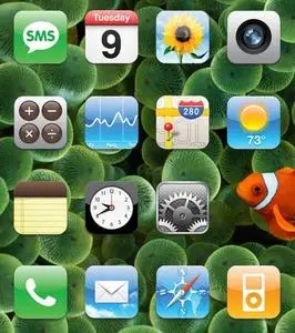 iPhone icons