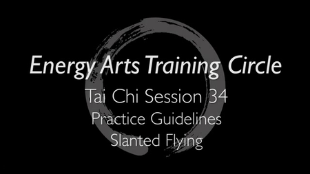 Bruce Frantzis - Old Yang Style Tai Chi  (Month 6-10)