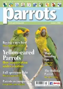 Parrots - January 2020