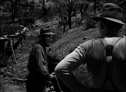 The Treasure of the Sierra Madre (1948)
