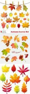 Vectors - Autumn Leaves Set