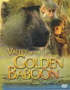 Valley of The Golden Baboon (2004)