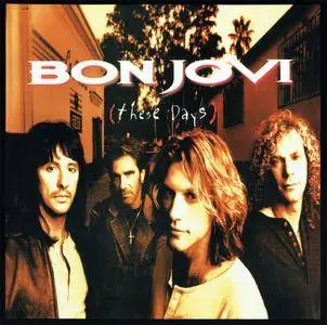 Bon Jovi - The Albums (2017) [Vinyl Rip 16/44 & mp3-320, Limited Edition Box set] Re-up