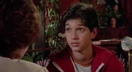 The Karate Kid (1984)