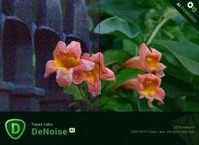 topaz denoise ai will not update