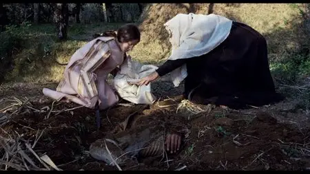 Trilogy of Life (1971-1974) [The Criterion Collection #631]