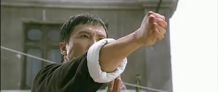 Ip Man (2008)