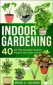 Indoor Gardening : 40 Of The Easiest Indoor Plants You Can Grow