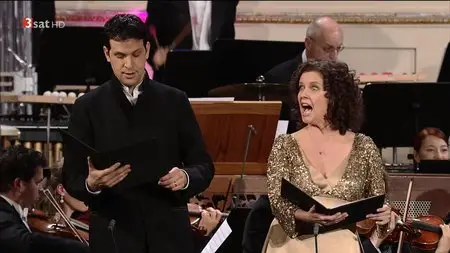 Christmas in Vienna 2013 [HDTV 720p]