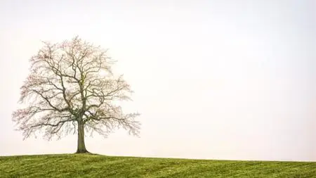 Build A Todolist Fast With Svelte And Asp.Net Core Api