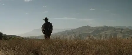 Bone Tomahawk (2015)