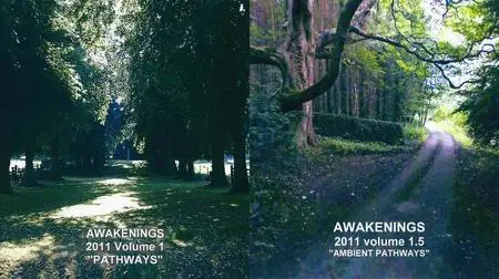 V.A. - Awakenings 2011 Vol. 1-1.5 (2011)